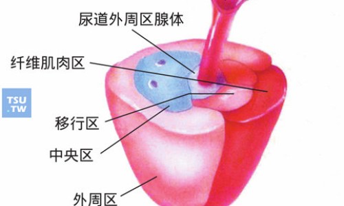 中华肤霸副作用大吗-中华肤霸副作用大吗-中华肤霸是激素药吗,中国中华肤霸说明书网站